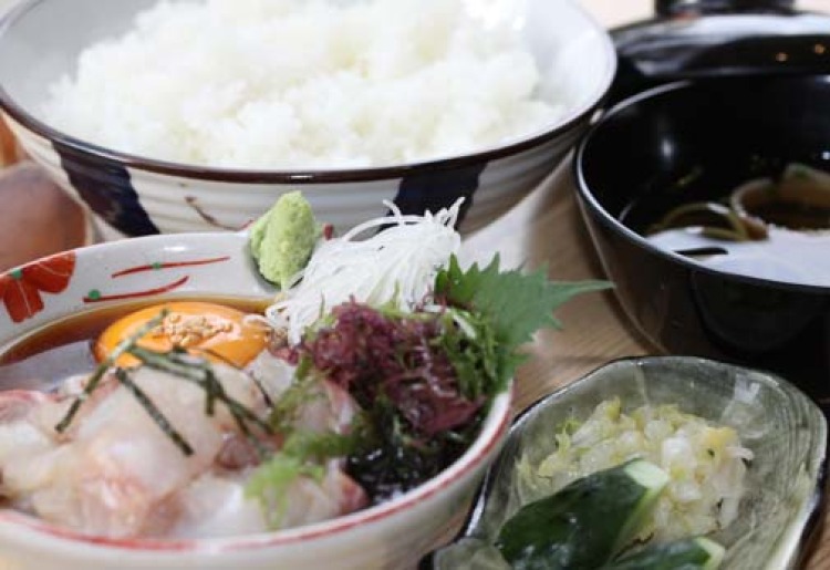 鮮度抜群の食材をご堪能ください